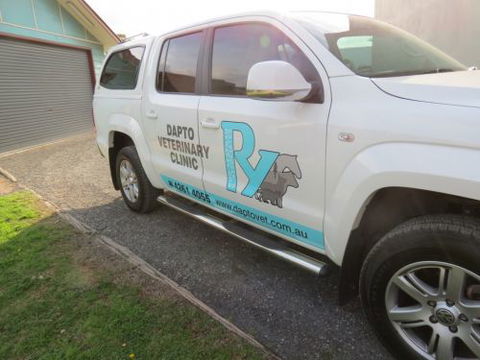 Dapto Veterinary Clinic - Gold Coast Vets 8