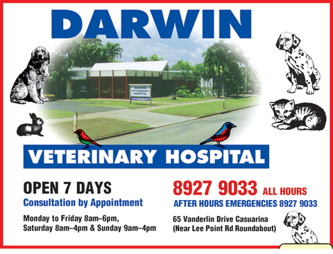Darwin Veterinary Hospital - Gold Coast Vets 1