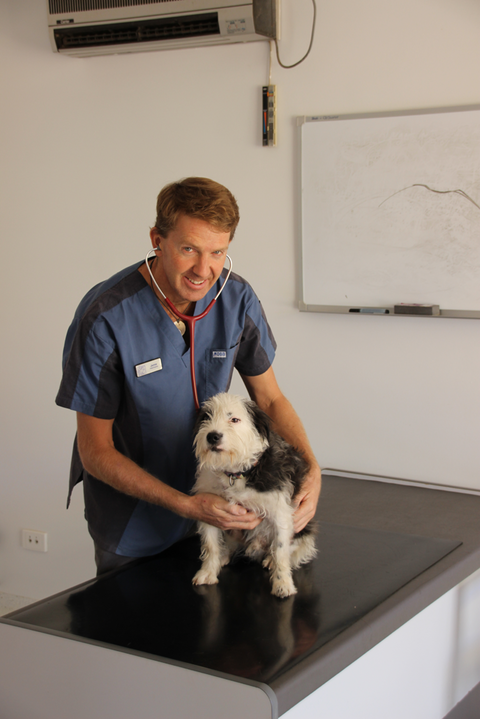 Desert Oaks Veterinary Clinic Pty Ltd - Gold Coast Vets 4