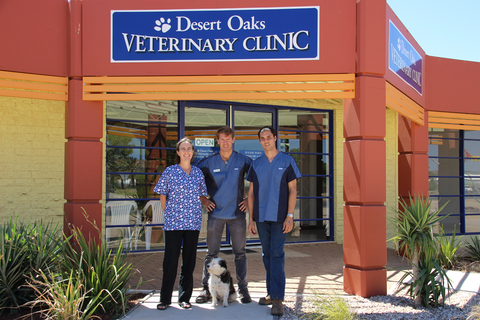 Desert Oaks Veterinary Clinic Pty Ltd - Gold Coast Vets 5