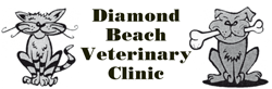 Diamond Beach Veterinary Clinic - Gold Coast Vets 0
