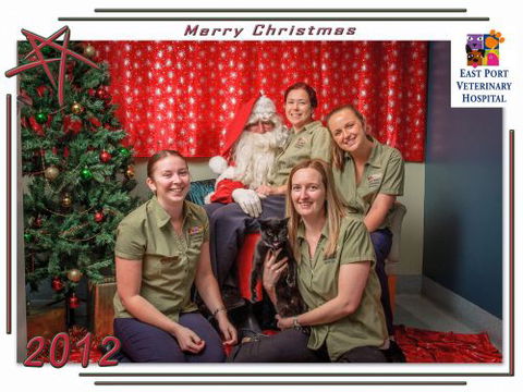 East Port Veterinary Hospital - Gold Coast Vets 1
