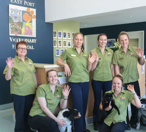 East Port Veterinary Hospital - Gold Coast Vets 2