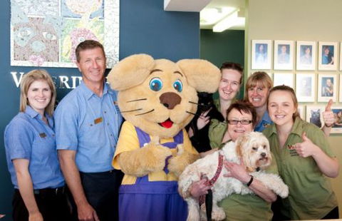East Port Veterinary Hospital - Gold Coast Vets 3