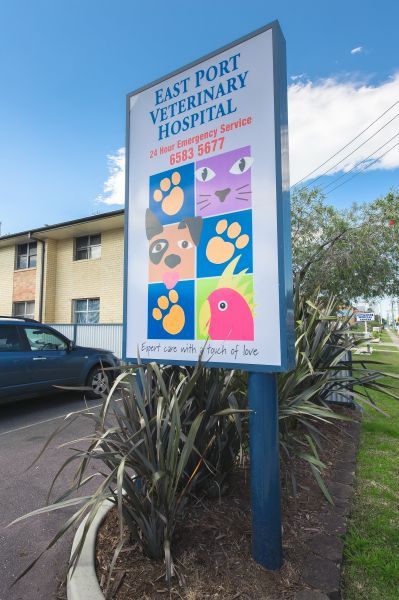 East Port Veterinary Hospital - Gold Coast Vets 5