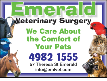Emerald Veterinary Surgery, Boarding Kennel & Cattery - Gold Coast Vets 1