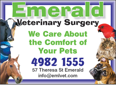 Emerald Veterinary Surgery, Boarding Kennel & Cattery - Gold Coast Vets 2