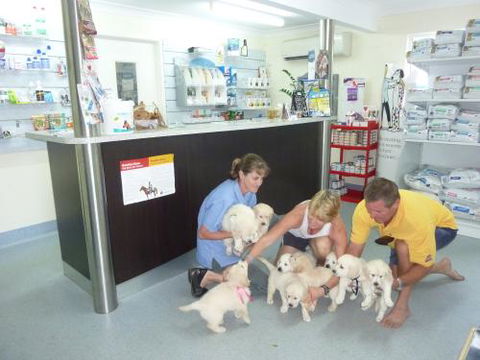 Faye McPherson - Gold Coast Vets 1