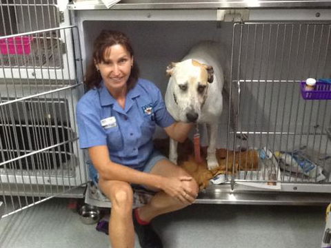 Faye McPherson - Gold Coast Vets 3