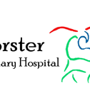 Forster Veterinary Hospital - Gold Coast Vets