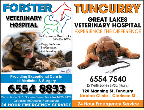 Forster Veterinary Hospital - Gold Coast Vets 1