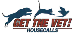 Gold Coast Vets