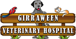 Girraween Veterinary Hospital - Gold Coast Vets 0