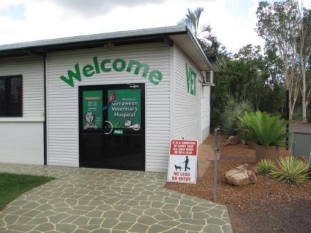 Girraween Veterinary Hospital - Gold Coast Vets 1