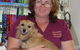 Girraween Veterinary Hospital - thumb 2