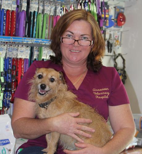 Girraween Veterinary Hospital - Gold Coast Vets 2