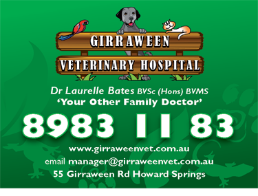 Girraween Veterinary Hospital - Gold Coast Vets 4