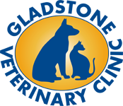 Gladstone Veterinary Clinic - Gold Coast Vets 0