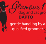 Glamour Pets - Gold Coast Vets