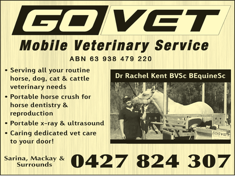 Go Vet Mobile Veterinary Service - Gold Coast Vets 1