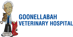  Gold Coast Vets