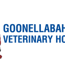 Goonellabah Veterinary Hospital - Gold Coast Vets