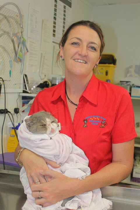 Goonoo Goonoo Road Veterinary Clinic - Gold Coast Vets 3