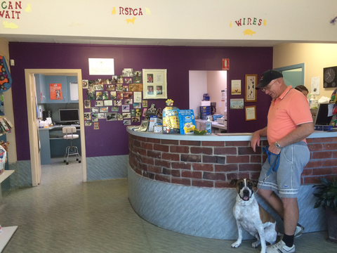 Goonoo Goonoo Road Veterinary Clinic - Gold Coast Vets 5