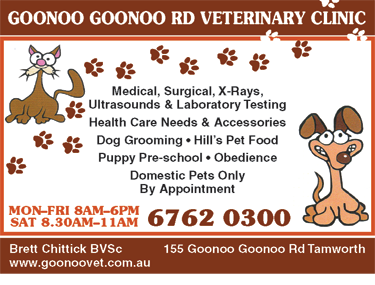 Goonoo Goonoo Road Veterinary Clinic - Gold Coast Vets 6
