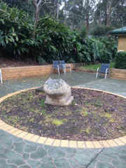 Green Point Veterinary Hospital - Gold Coast Vets 3