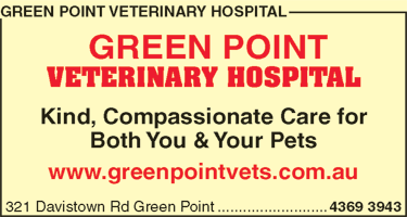 Green Point Veterinary Hospital - Gold Coast Vets 6