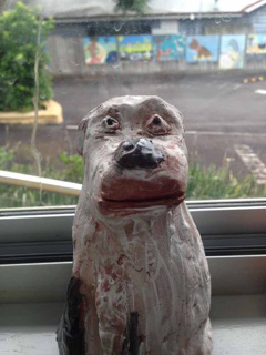 Green Point Veterinary Hospital - Gold Coast Vets 7