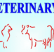 Gympie Veterinary Services - Gold Coast Vets