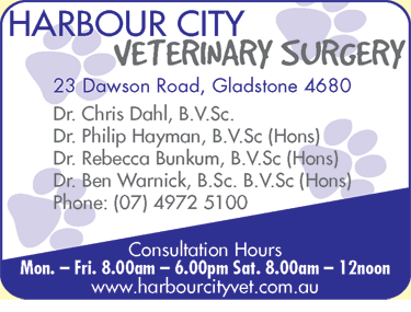 Harbour City Veterinary Surgery - Gold Coast Vets 2
