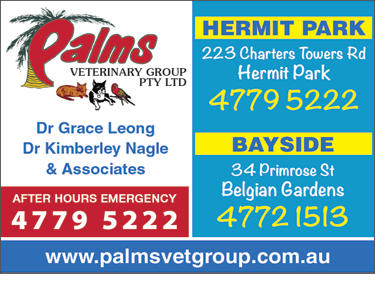 Hermit Park Veterinary Hospital - Gold Coast Vets 1