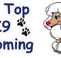 Hill Top K9 Grooming - Gold Coast Vets