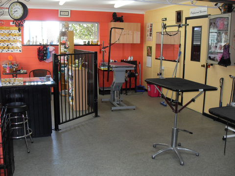 Hill Top K9 Grooming - Gold Coast Vets 4