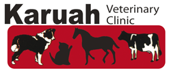 Karuah Veterinary Clinic - Gold Coast Vets 0