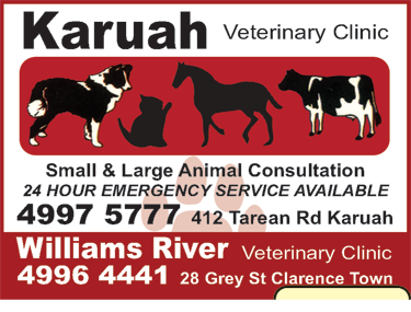 Karuah Veterinary Clinic - Gold Coast Vets 4