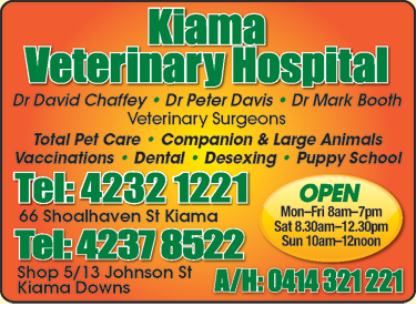 Kiama Veterinary Hospital - Gold Coast Vets 1