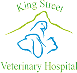 King Street Veterinary Hospital - Gold Coast Vets