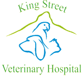 King Street Veterinary Hospital - Gold Coast Vets 0