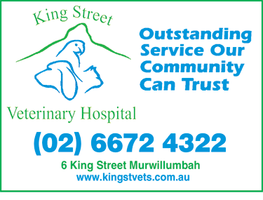 King Street Veterinary Hospital - Gold Coast Vets 1
