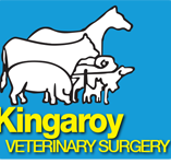 Kingaroy Veterinary Surgery - Gold Coast Vets