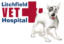 Litchfield Veterinary Hospital - Gold Coast Vets 0