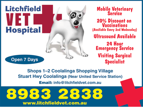Litchfield Veterinary Hospital - Gold Coast Vets 3