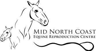 Macleay Valley Veterinary Services - Gold Coast Vets 1