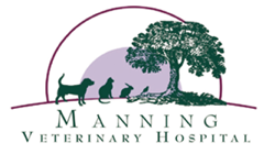 Manning Veterinary Hospital - Gold Coast Vets 0