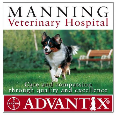 Manning Veterinary Hospital - Gold Coast Vets 1