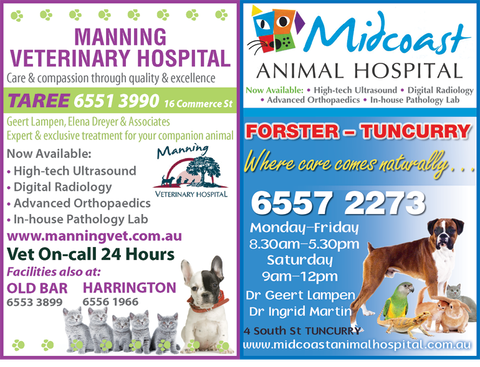 Manning Veterinary Hospital - Gold Coast Vets 2